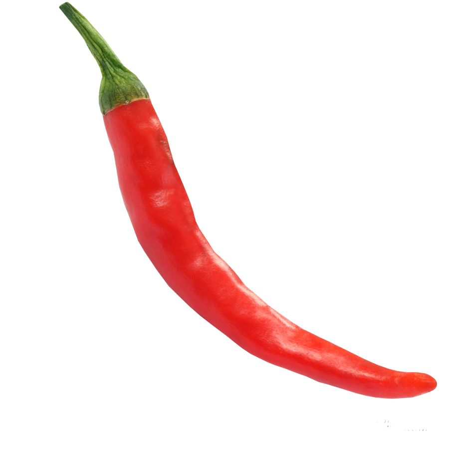 gaston chilli (15)